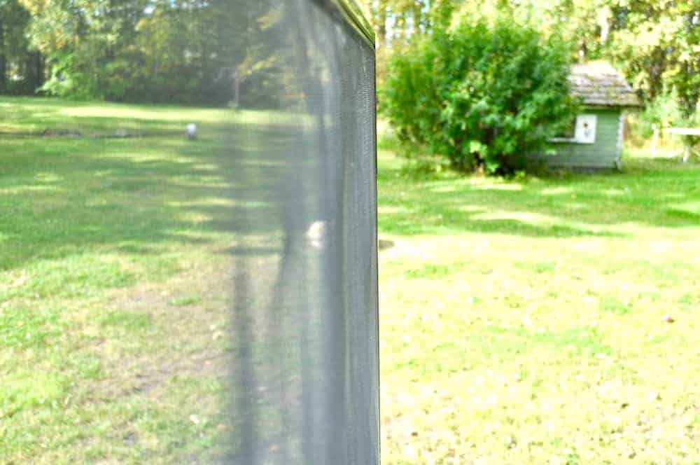 A window screen without dust and dirt.