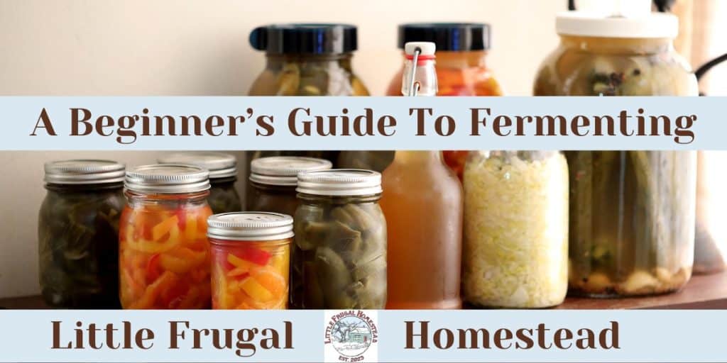Labled image featuring fermented foods.