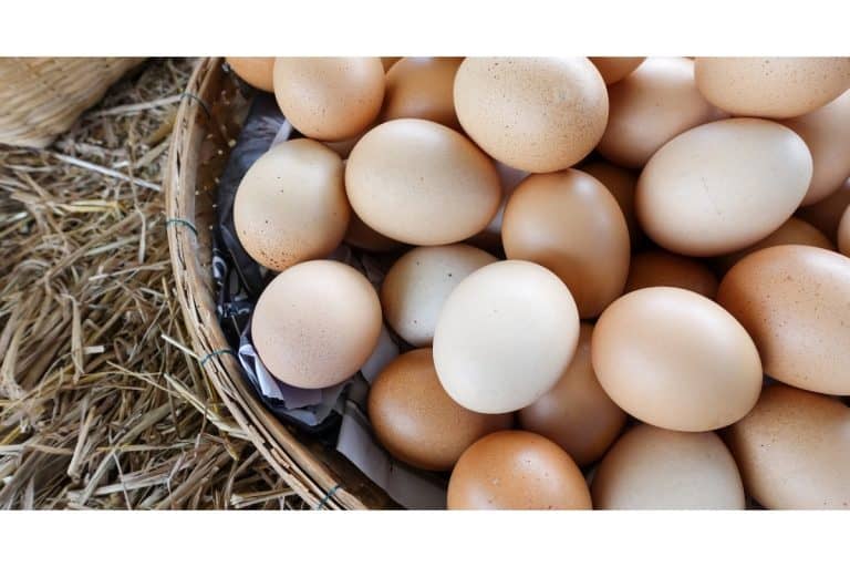 Basket of eggs on straw.