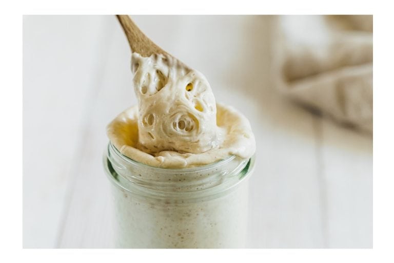 Sourdough Starter.