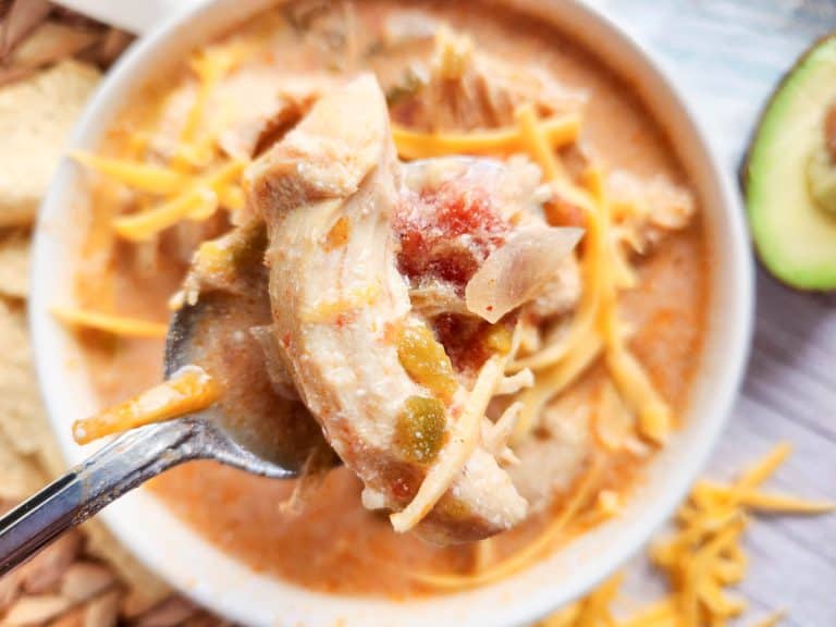 Spoonful of chicken tortilla soup with chicken and vegetables.