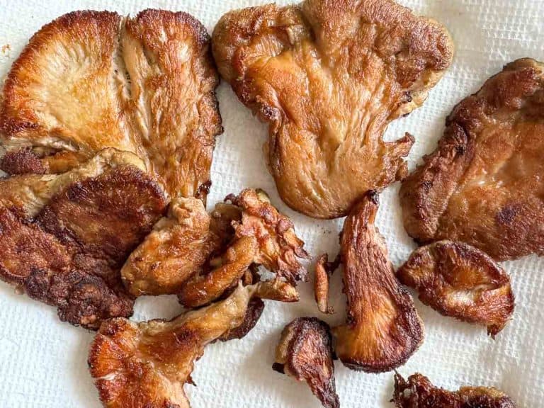Several pieces of cooked lion’s mane mushrooms on a paper towel.