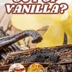 Pin for Vanilla Substitutes.