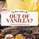 Pin for Vanilla Substitutes.