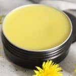 Black tin of yellow dandelion salve with dandelion flowers on a white surface.