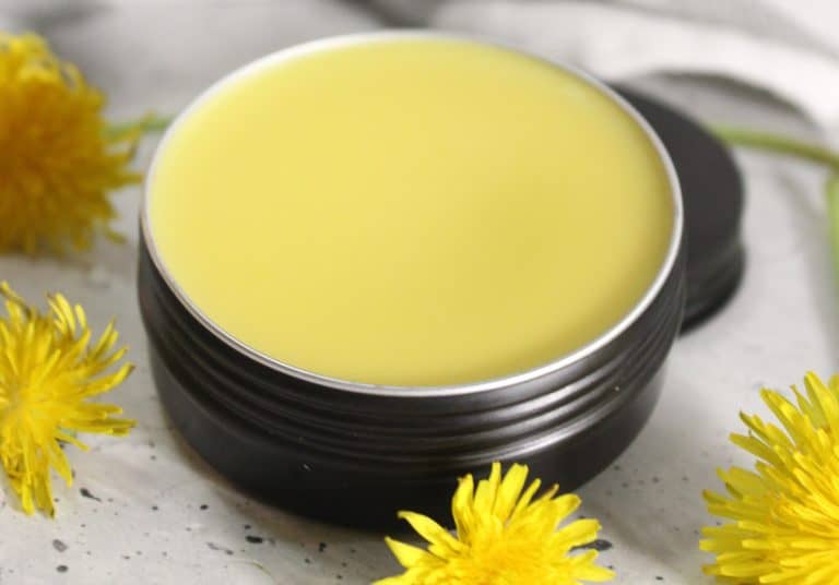 Black tin of yellow dandelion salve with dandelion flowers on a white surface.