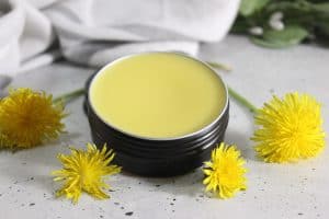 Black tin with yellow dandelion salve and dandelion flowers.