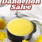 Pin for dandelion salve.