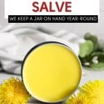 Pin for dandelion salve.