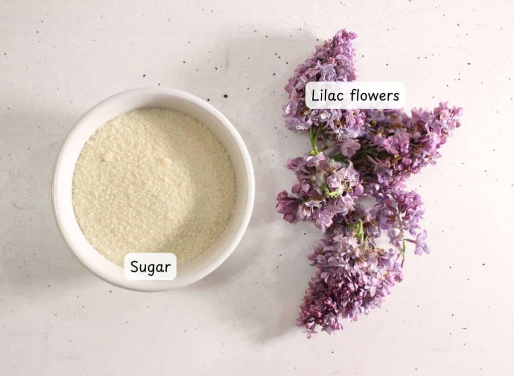 Close-up of a glass jar with lilac sugar, showing lilac petals mixed into the sugar.