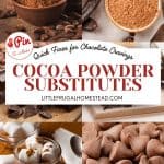 Pin for Cocoa Powder Substitutes.