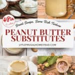 Pin for Peanut Butter Susbtitutes.