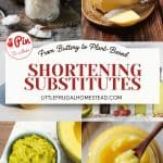 Pin for Shortening Substitutes.