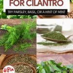 Pin for Best Substitutes For Cilantro.