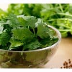 A bowl fresh cilantro.