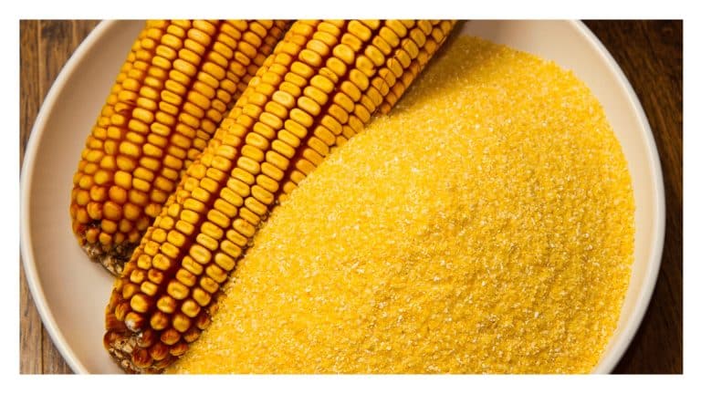Bowl of yellow cornmeal with two dried corn cobs resting beside it.