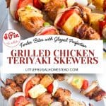 Pin for grilled chicken teriyaki skewers.