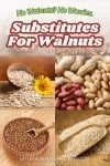 Pin for Substitutes for Walnuts.