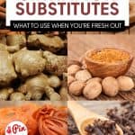 Pin for Cinnamon Substitutes.