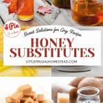 Pin for honey substitutes.
