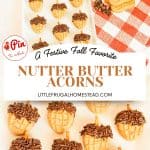 Pin for Nutter Butter Acorns.