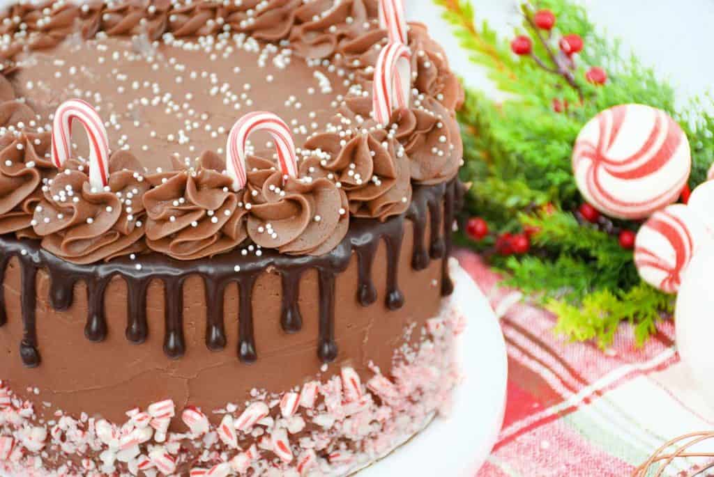 Chocolate peppermint cake with crushed candy cane border and holiday decor.