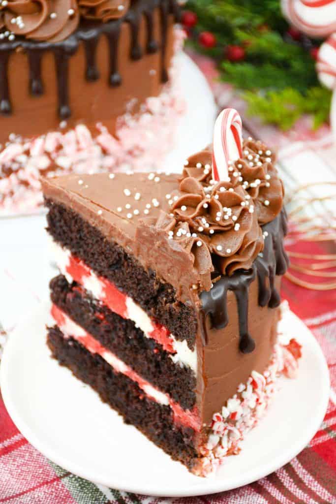 Chocolate peppermint cake slice with chocolate frosting and candy cane garnish.