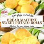 Pin for Bread Machine Sweet Potato Rolls.